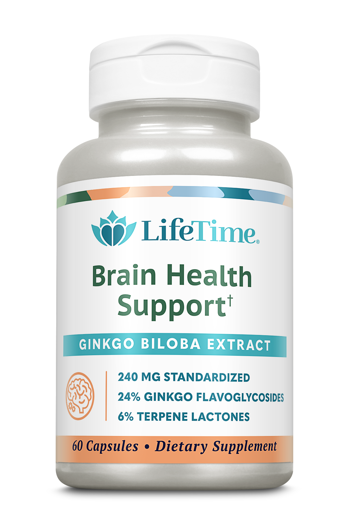 Brain Health Support | Ginkgo Biloba Extract